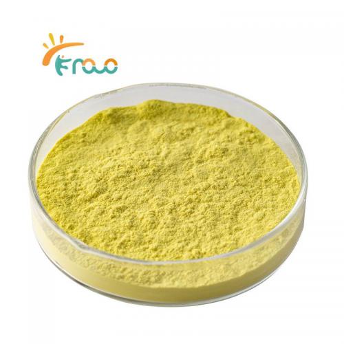  100% Organic Ginger Powder Best Price Ginger Extract Powder for Food & Beverage 공급자