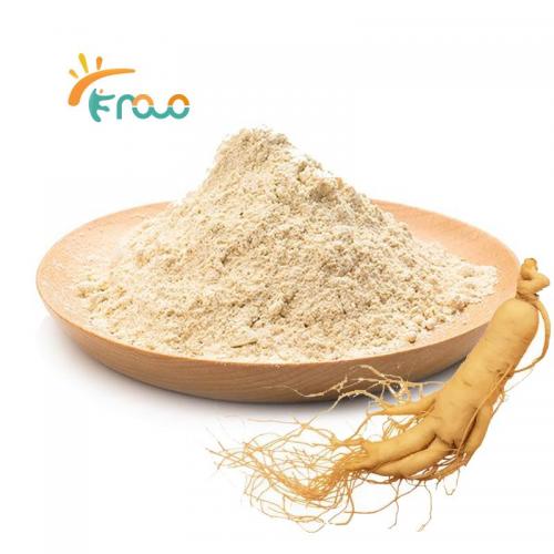  Ginseng Extract 공급자