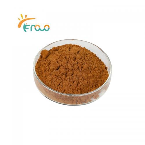  Lion's Mane Mushroom Extract Powder 공급자