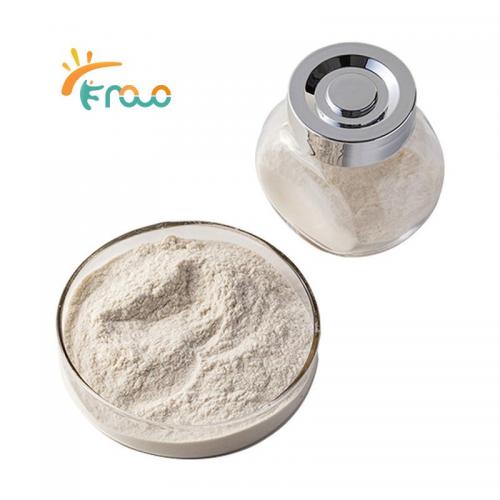  High Density Chitosan Powder 공급자