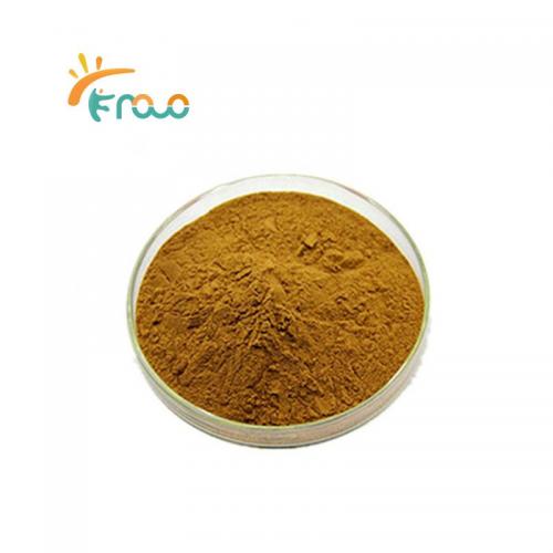  Black Ginger Extract Powder 공급자