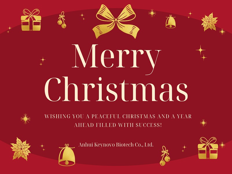 Festive Cheers and New Year's Hope from Anhui Keynovo Biotech Co., Ltd.