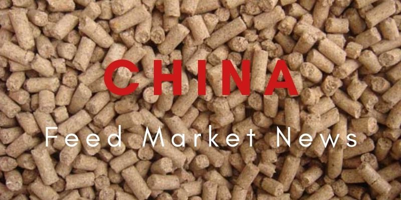 China Feed Maket News--2021년 9월 라이신 수출 시장 분석